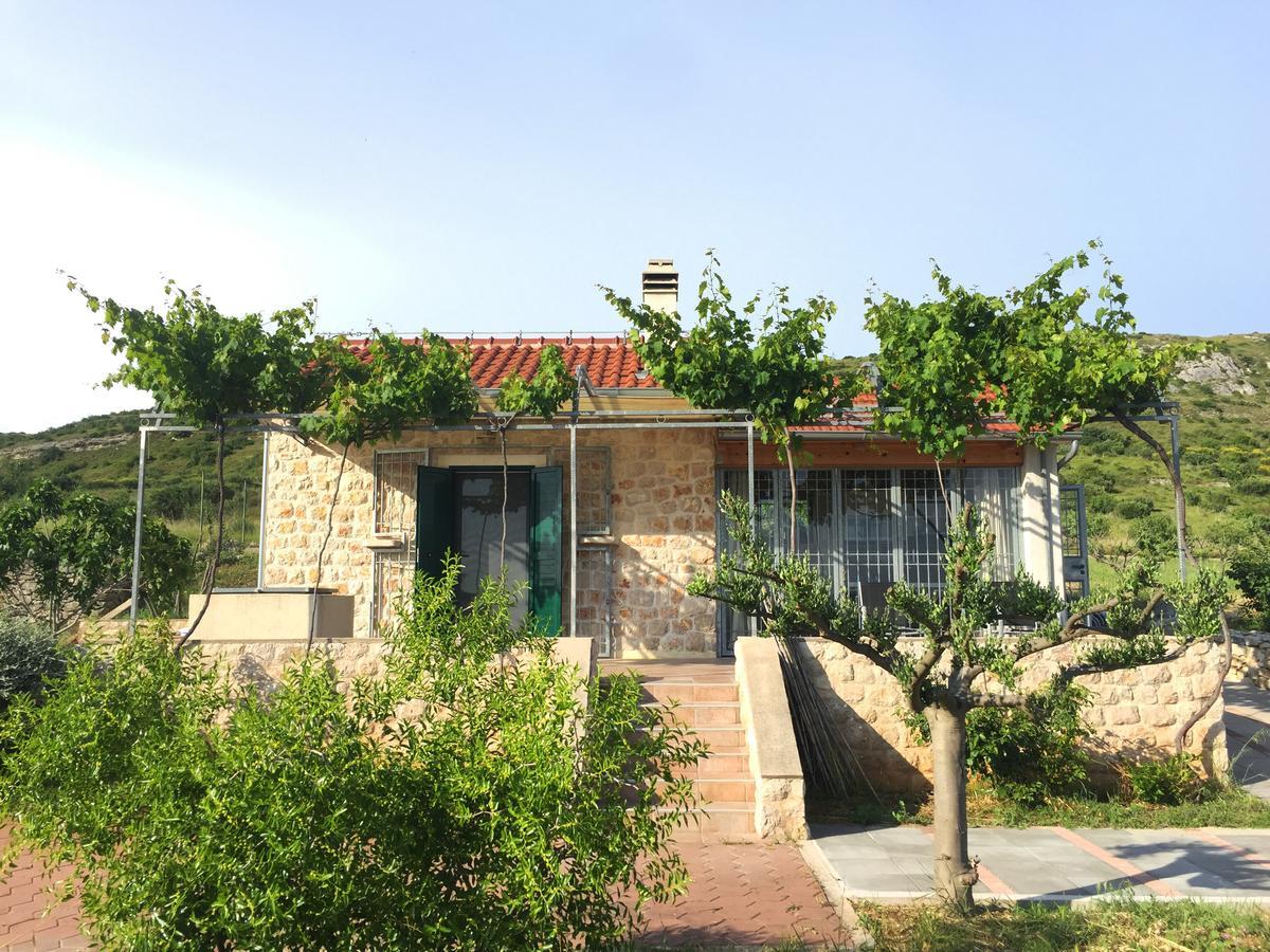 Holiday Home Olive Sibenik Luaran gambar